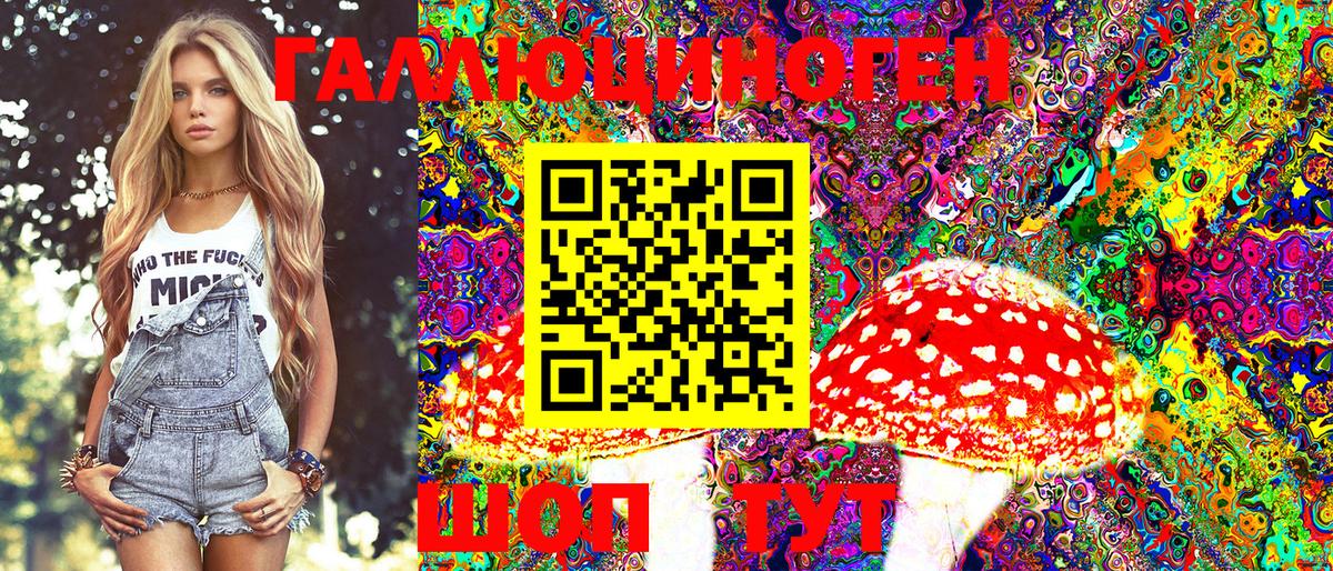 наркота  Псилоцибиновые грибы Psilocybine cubensis  Вход с VPN  Менделеевск 
